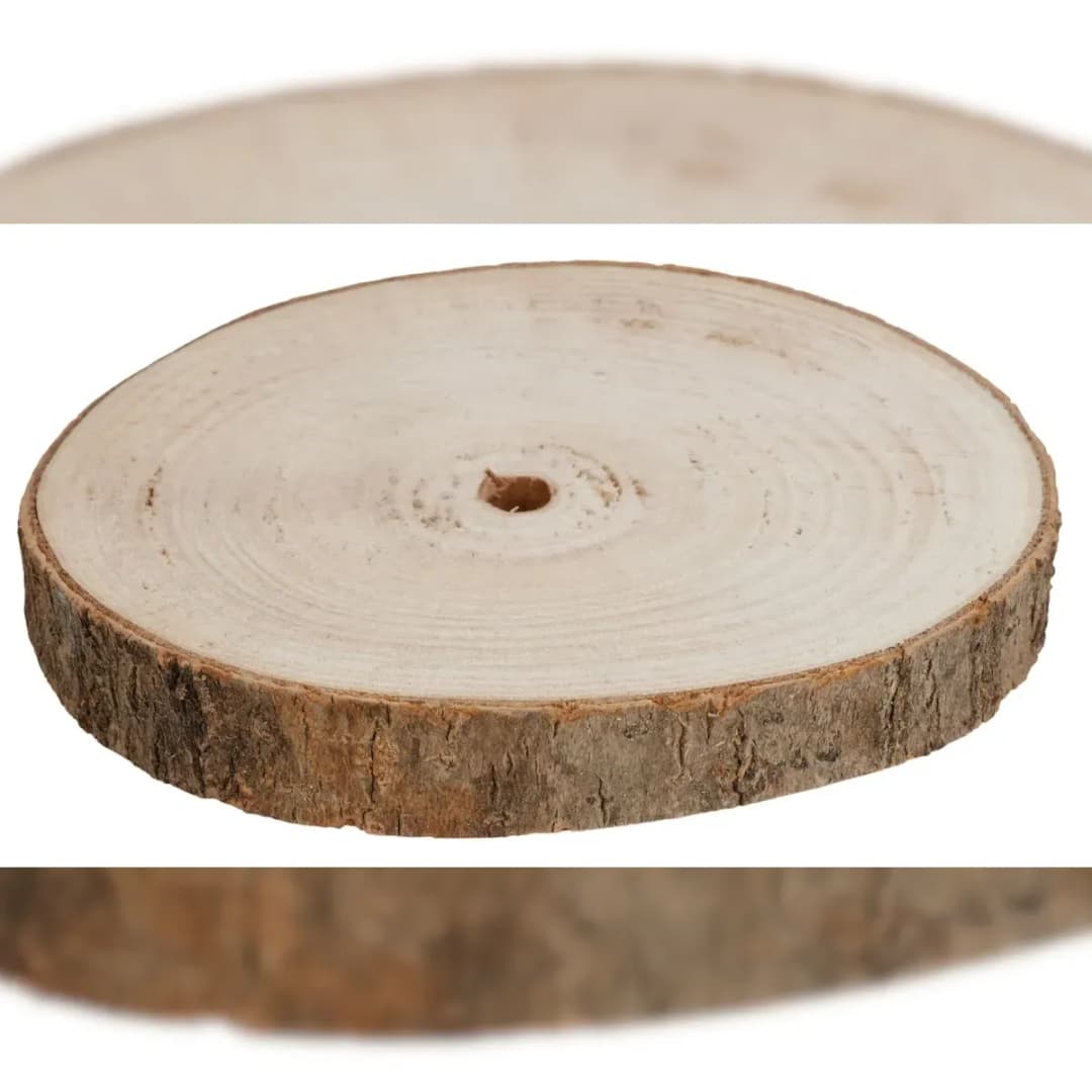 Baumstammscheibe 20cm zum Basteln Holzscheibe Gesteckunterlage Dekomaterial Holz Baumscheibe