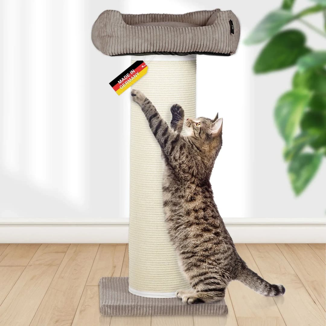 FRIEDA Kratztonne XXL schwarz
