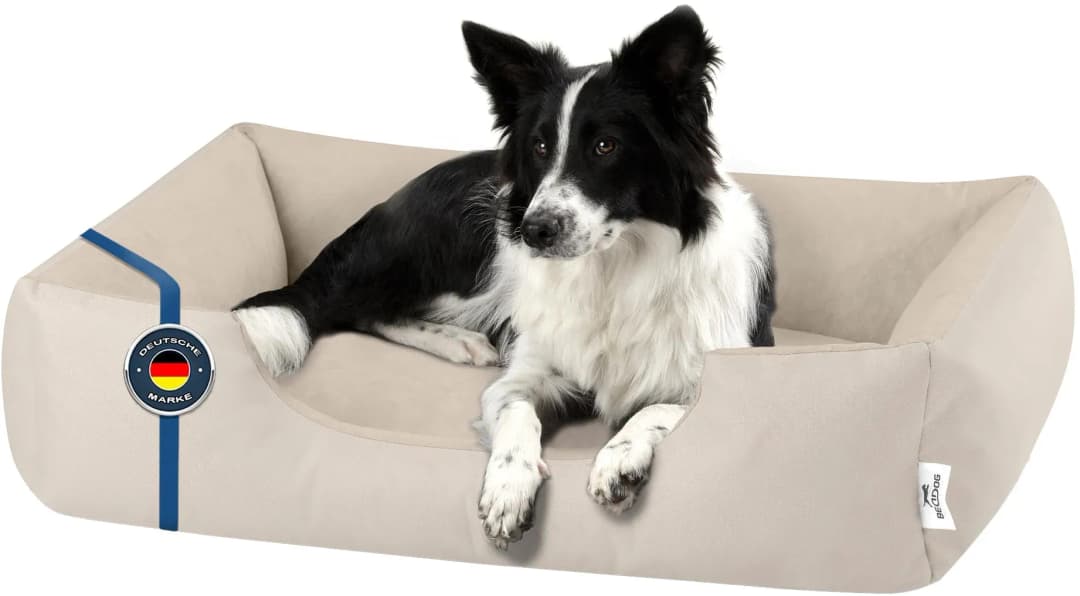 Hundekissen Zara XL 100 x 70 cm beige
