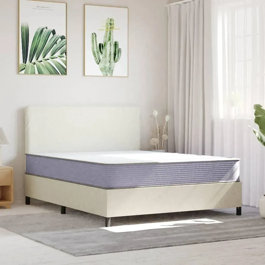 Schaummatratze 160 x 200 cm H2 Polyester