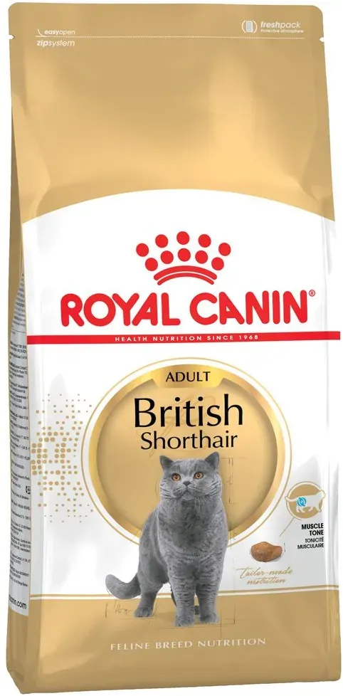 Adult British Shorthair 2 kg