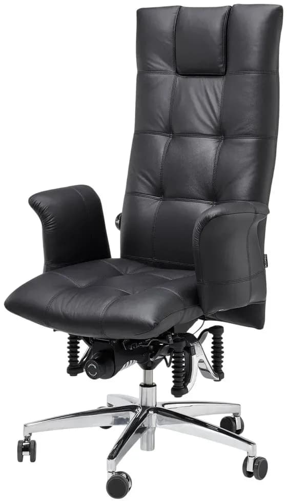 Bioswing 780 iQ Detensor Ergonomisch