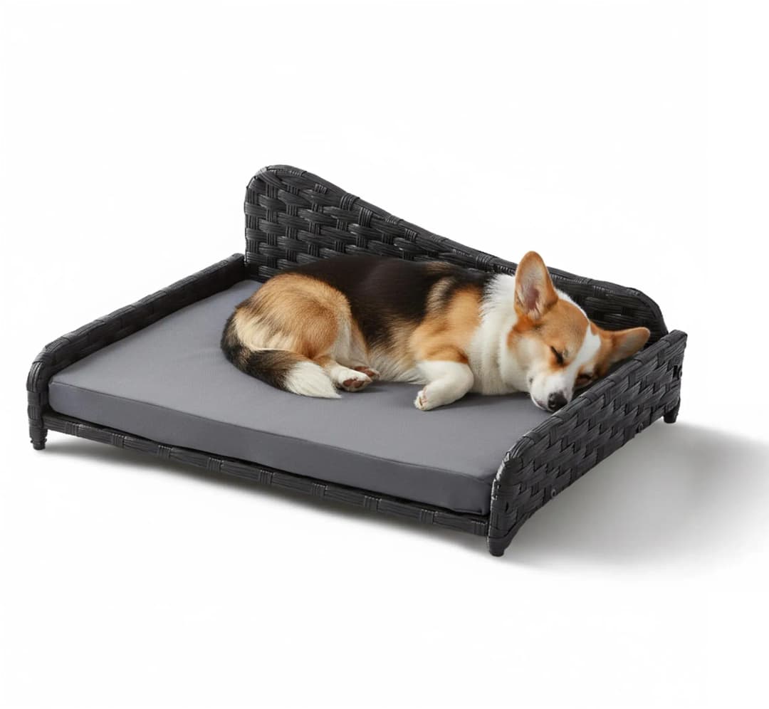 Hundesofa Rattan L 63 x 46 cm grau