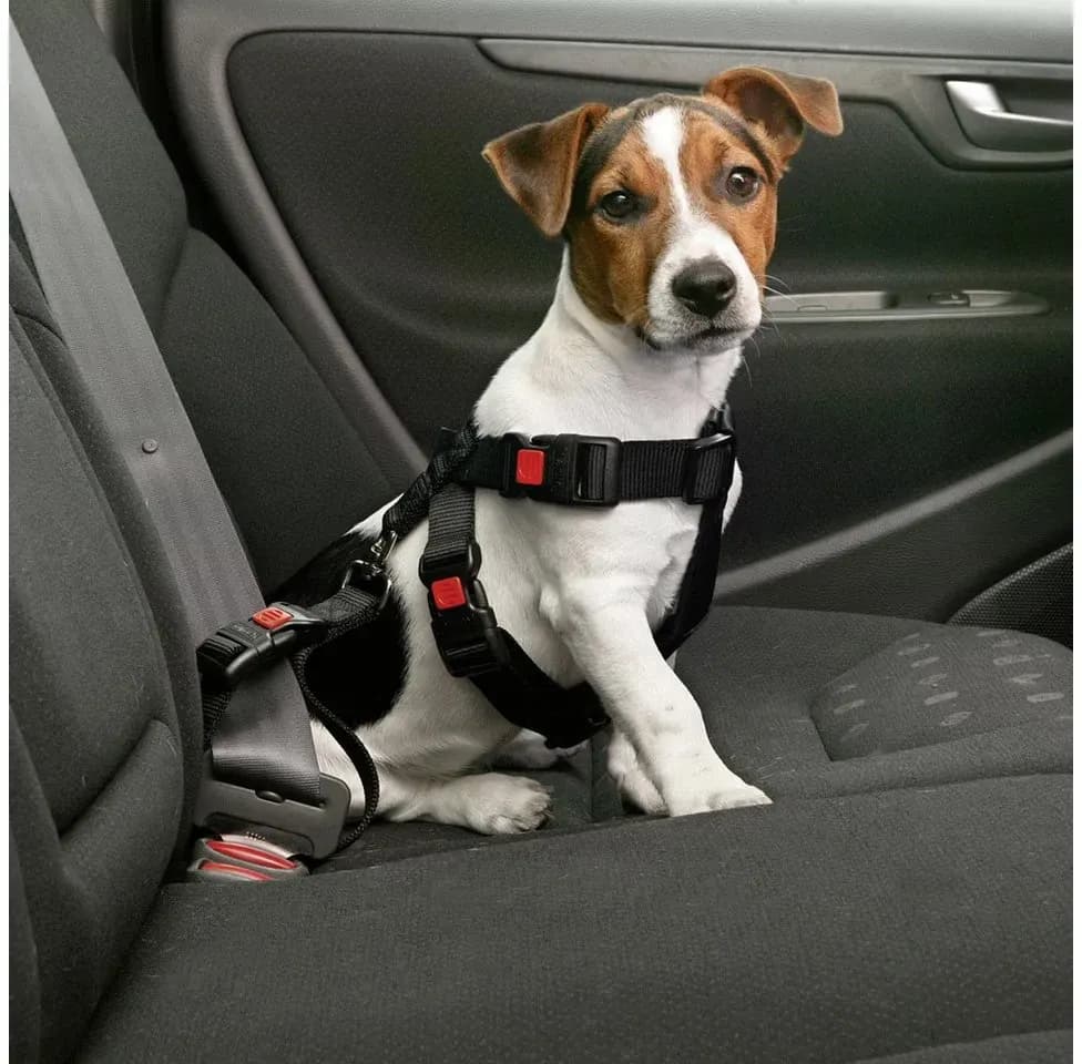 Auto Sicherheitsgeschirr Hundegeschirr Schwarz M