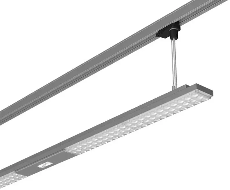LUZP1510683060ORGRsi 1-flg. 60 cm rechteckig