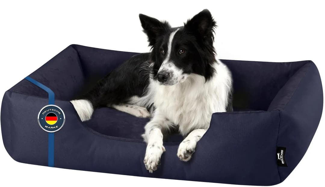 Hundekissen Zara L 80 x 65 cm blau