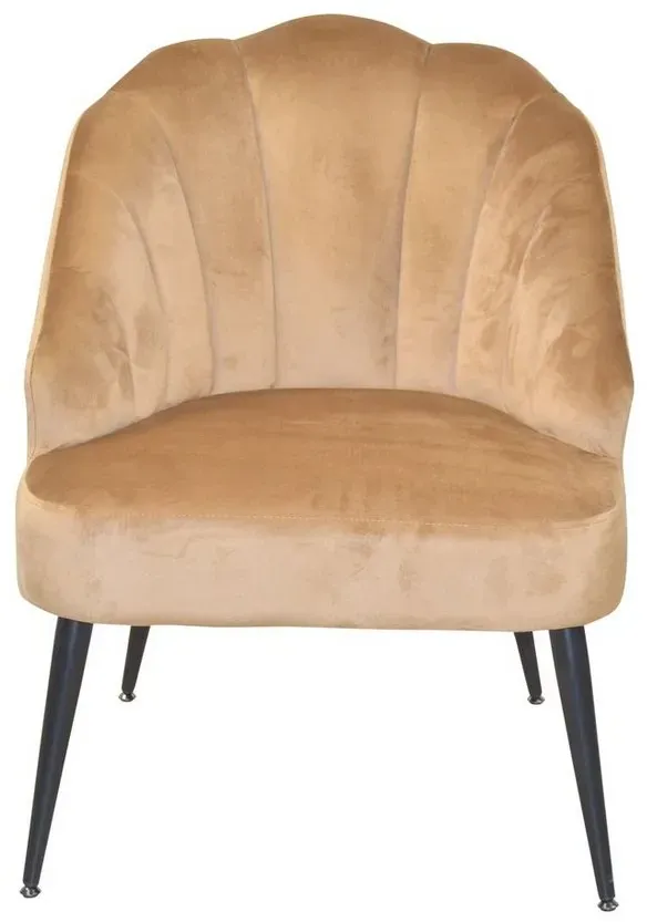 Sessel Ibek Polyester 0 x 0 x 0 cm Beige/Braun