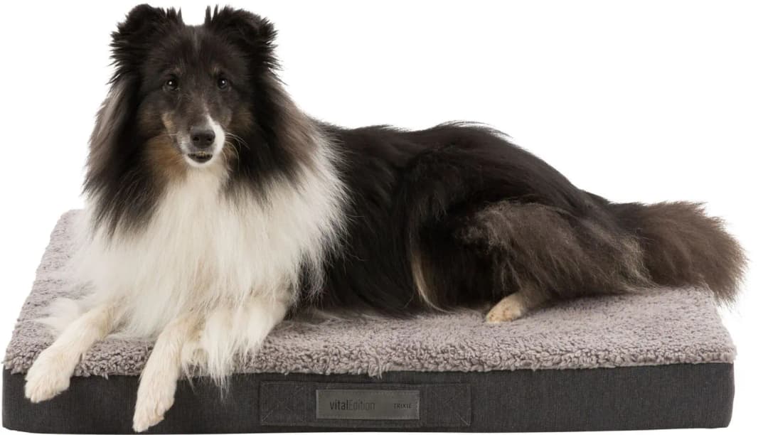Hundematte Bendson 100 x 65 cm grau