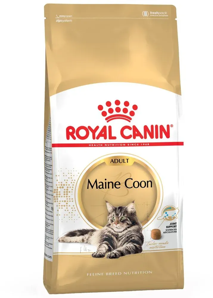 Adult Maine Coon 4 kg