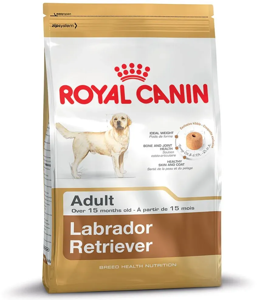 Labrador Retriever Adult 12 kg