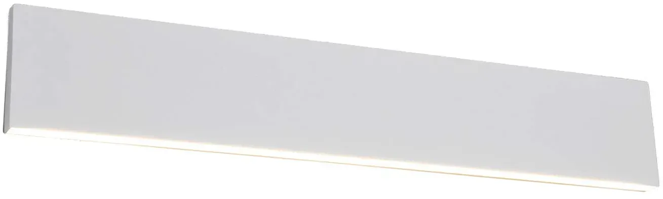 Concha (225174731)