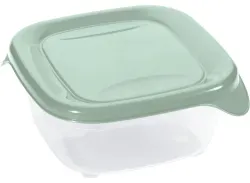 Fresh&Go Frischhaltedose blau 15,5 cm x 15,5 cm x 5,5 cm 0,8 l