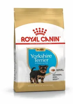 Yorkshire Terrier Junior 1,5 kg