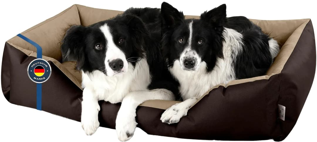 Hundekissen LUPI XXL 100 x 65 cm beige