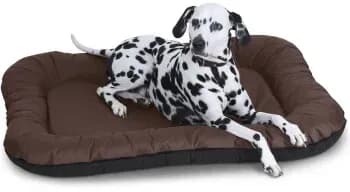 Hundekissen Lucky XXL 118 x 85 cm braun