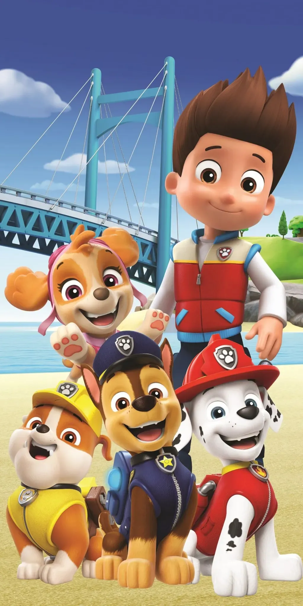 Paw Patrol Strandtuch 70 x 140 cm rosa