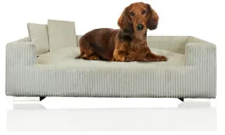 Hundesofa Gepolstert Cord Breit rund beige