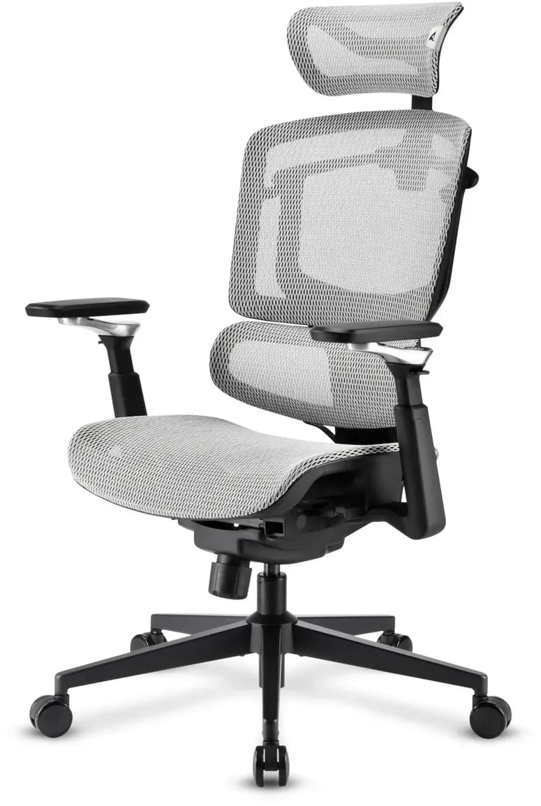 OfficePal C50M Grau