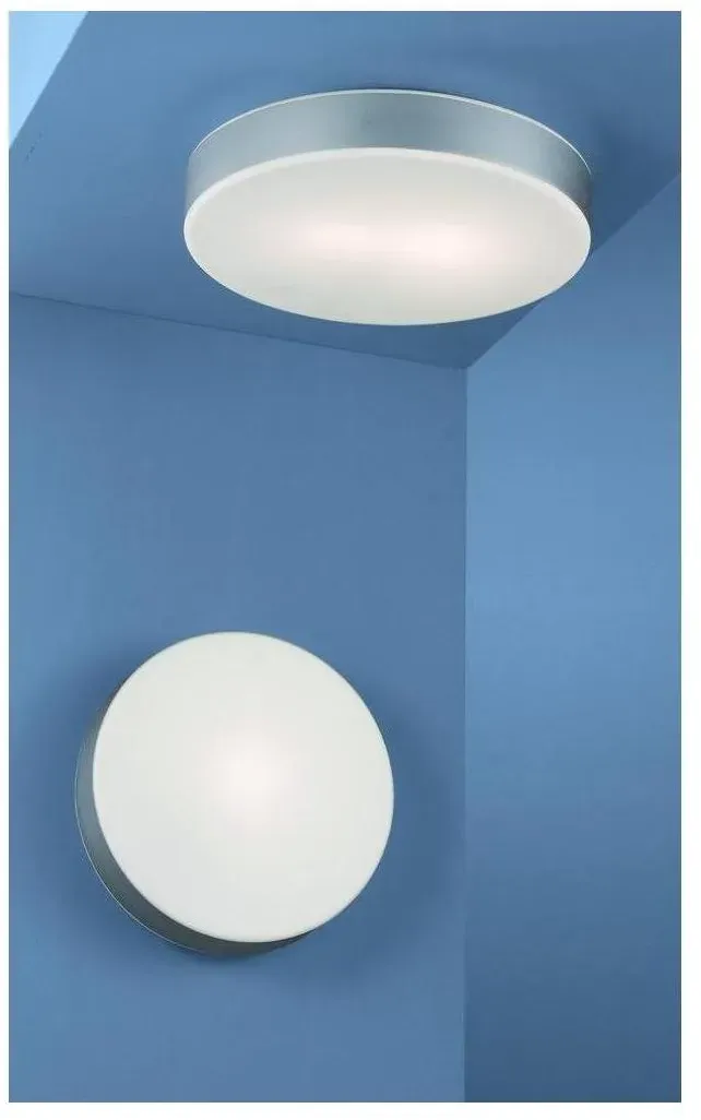 41301 Ceiling Circle Light