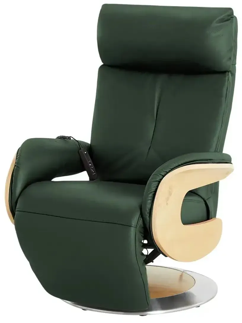 Ledersessel 7818 Grün