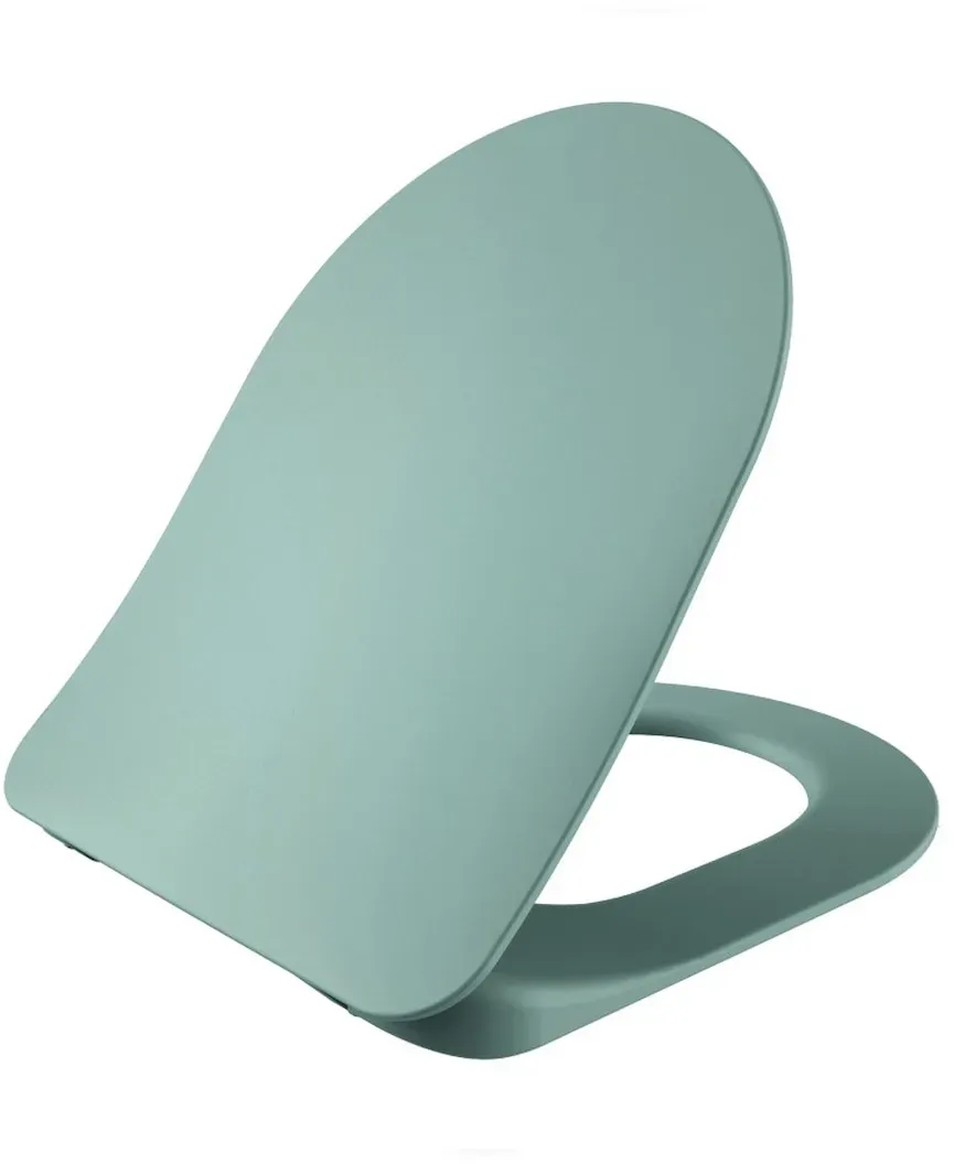 WC-Sitz Nilgrün Softclose Duroplast mit Edelstahlscharnieren Inox Absenkautomatik,