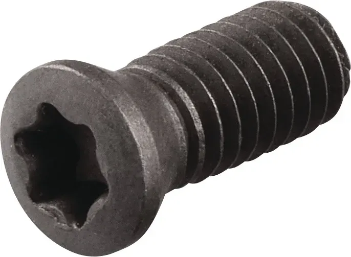 Spannschraube WS0620-S4