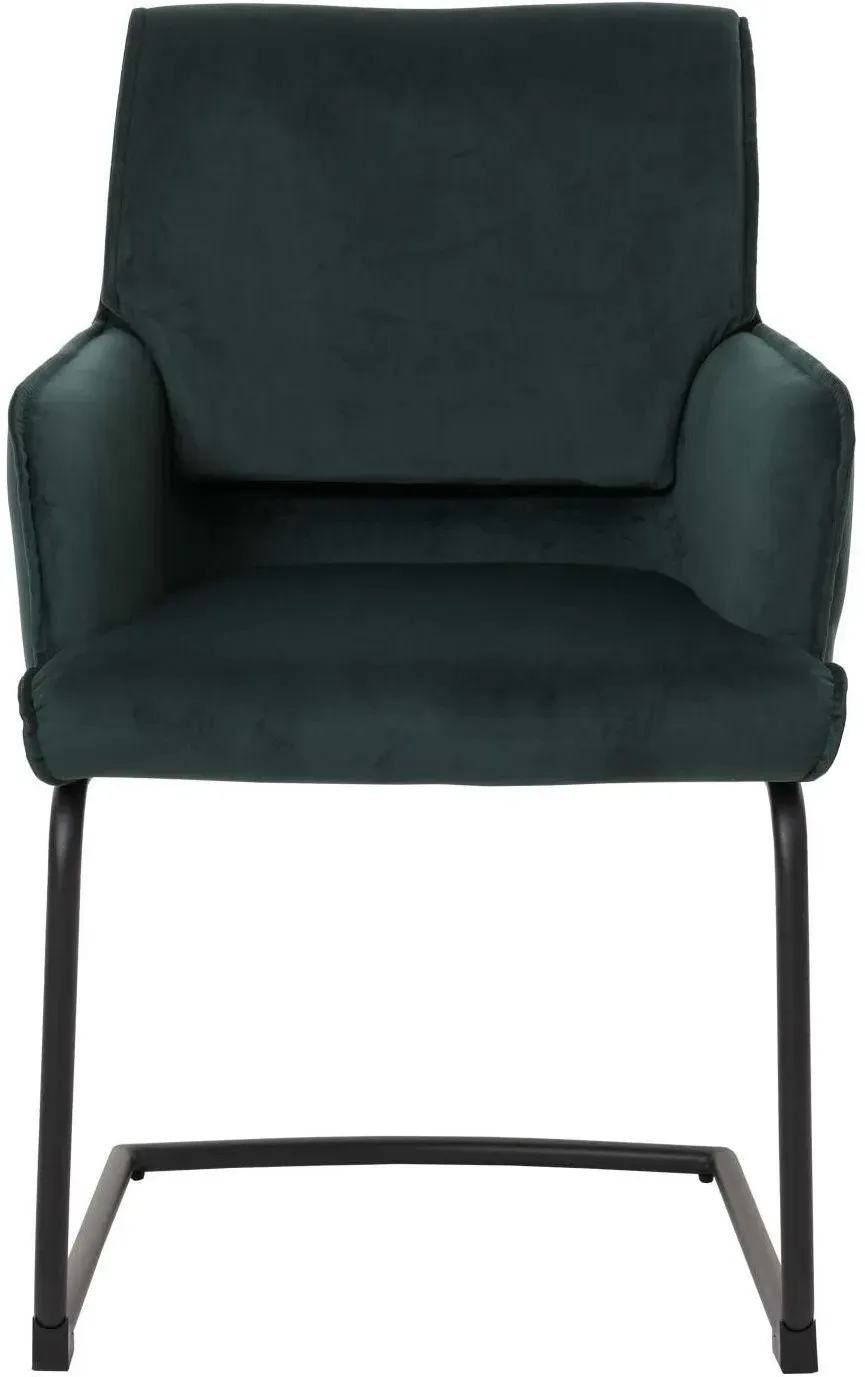 Freischwinger N60 Polyester grün