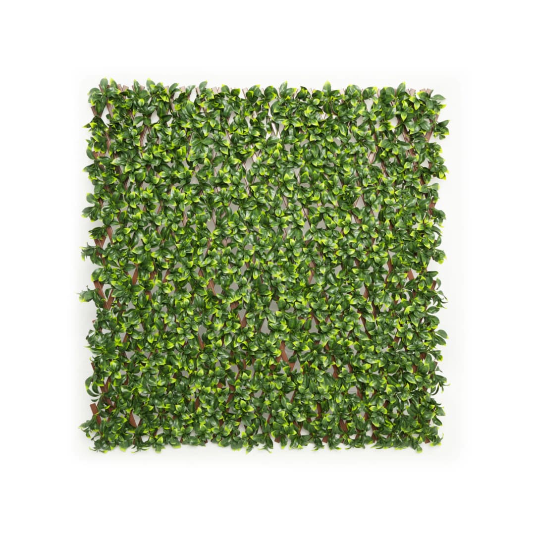 Künstliche Pflanzenwand | Gardenienblätter, 200x100 cm | JAROLIFT Kunstpflanzen Sichtschutz / künstliche Wandbegrünung