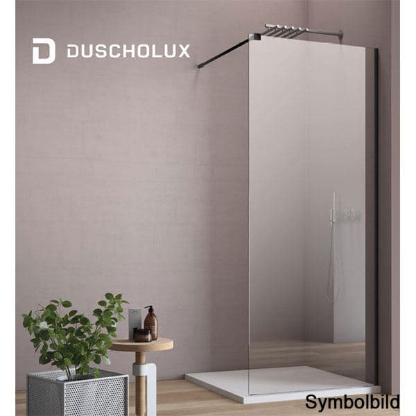 Duscholux Walk-In Dusche 1200 x 2000 mm Silber Glanz