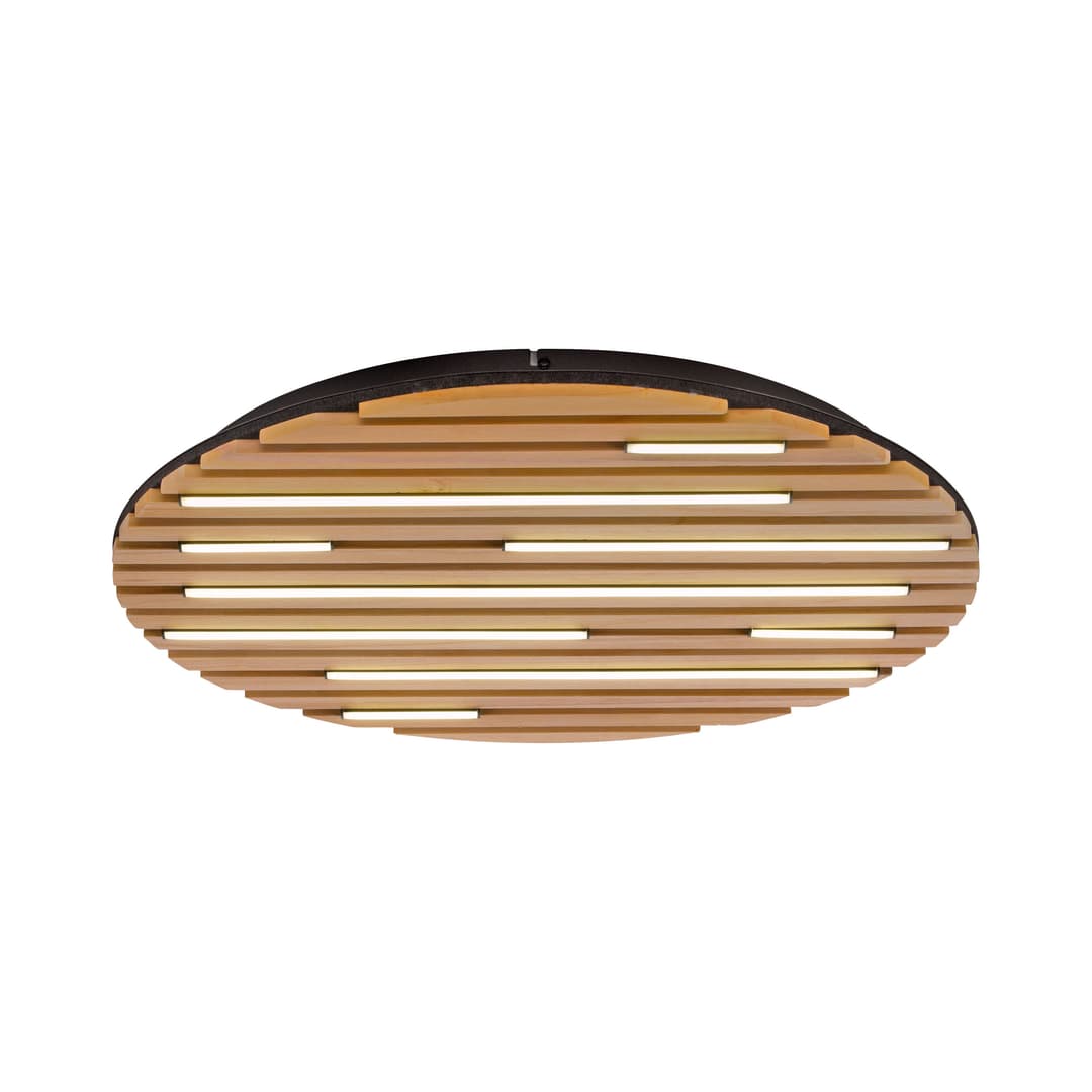 Paul Neuhaus LED-Wand-u. Deckenleuchte 1flg