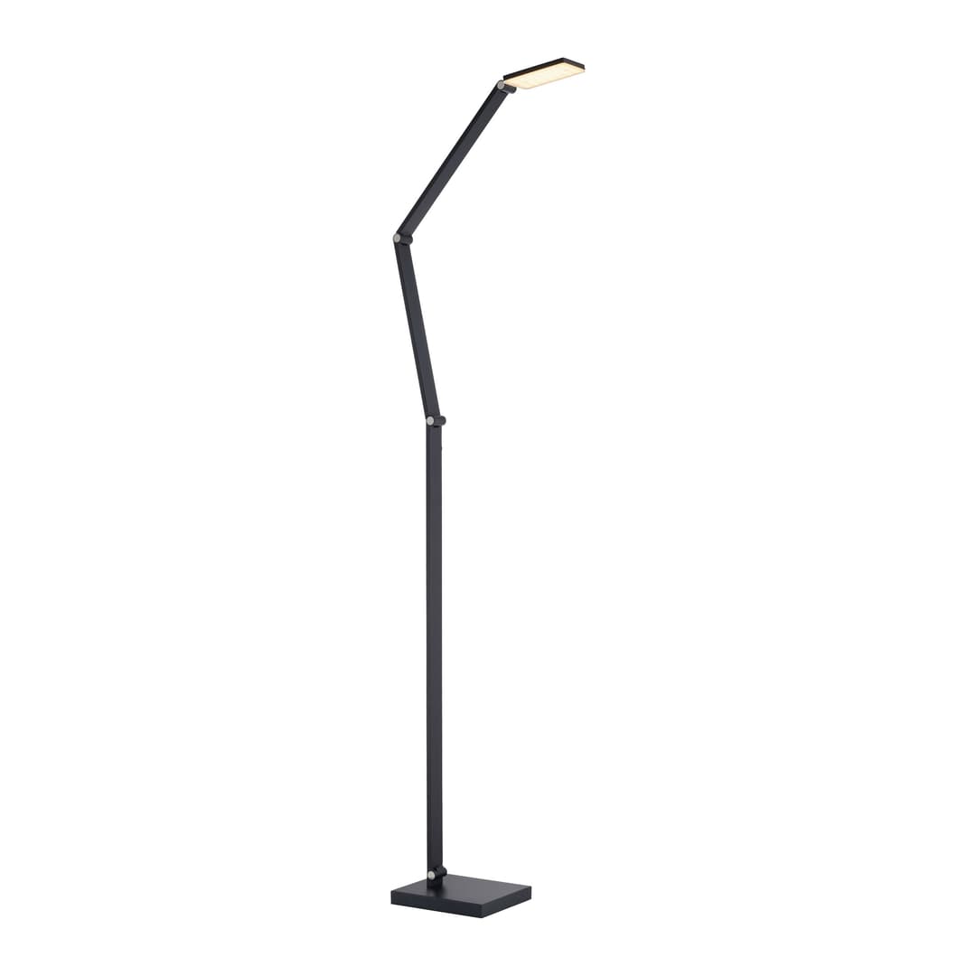 Paul Neuhaus LED-Stehleuchte 1flg